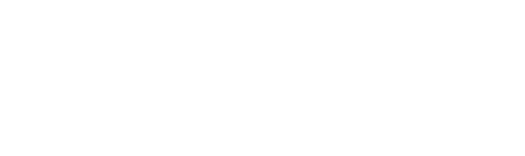 ACE logo